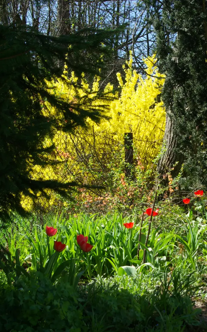 wakacje w zatorze pokoje