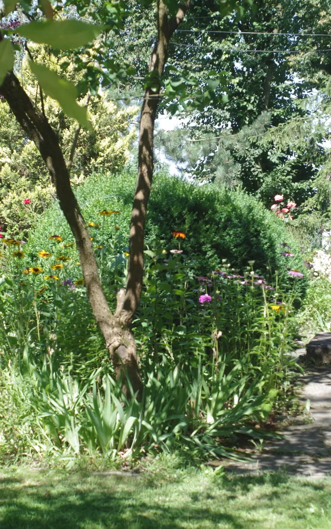 pokoje wakacyjne zator